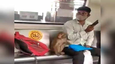 Delhi Metro News: बंदरों की धमाचौकड़ी से DMRC परेशान, स्टेशनों पर लगाए गए निर्देश, आप भी पढ़े लें...