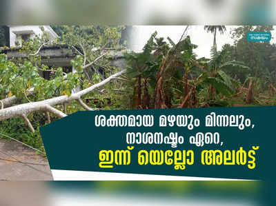 ശക്തമായ മഴയും മിന്നലും, നാശനഷ്ടം ഏറെ; ഇന്ന് യെല്ലോ അലർട്ട്