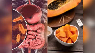 <strong>Intestine Health :</strong> मोठ्या आतड्याला गंभीर जखमा होण्यास कारणीभूत ठरतात ‘हे’ 5 पदार्थ, डाएटिशियनने सांगितले आतडे मजबूत बनवणारे 10 पदार्थ..!