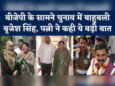 बाहुबली बृजेश सिंह को बीजेपी से ही चुनौती, पत्नी अन्नपूर्णा सिंह ने वोटिंग के बीच क्या कहा