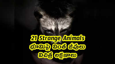 21 Strange Animals: భూమిపై వింత జీవులు.. విచిత్ర లక్షణాలు