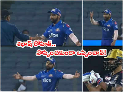 Rohit Sharma కోసం మైదానంలోకి ఫ్యాన్.. కెప్టెన్ భలే డీల్ చేశాడు!