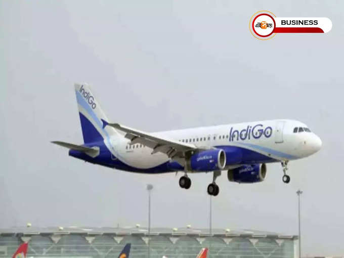 Indigo News