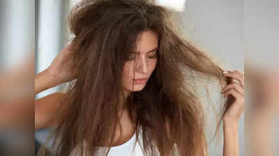कोरड्या, निस्तेज केसांनी त्रस्त? वापरा हे 5 best product for dry hair