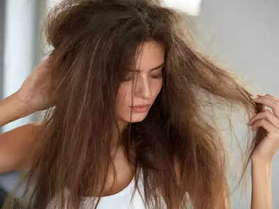 कोरड्या, निस्तेज केसांनी त्रस्त? वापरा हे 5 best product for dry hair