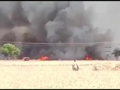 Madhya Pradesh : चंबल के 3 जिलों में आग ने दिखाया रौद्र रूप, सैकड़ों बीघा में लगी फसल जली, लाखों का नुकसान