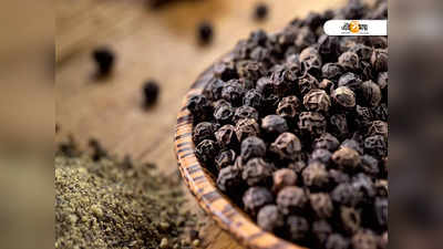 Black Pepper: রোগ নিরাময়ে কতটা উপকারী গোলমরিচ? জেনে নিন আয়ুর্বেদ ও আধুনিক বিজ্ঞানের মত...