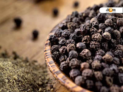 Black Pepper: রোগ নিরাময়ে কতটা উপকারী গোলমরিচ? জেনে নিন আয়ুর্বেদ ও আধুনিক বিজ্ঞানের মত...