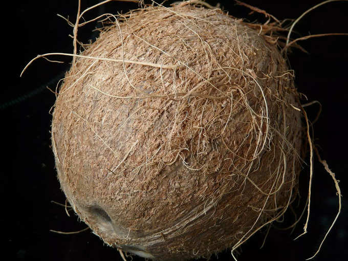 coconut