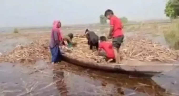 उधम सिंह नगर के सीमावर्ती गांवों में घुस रहा शारदा डैम का पानी, लोग परेशान