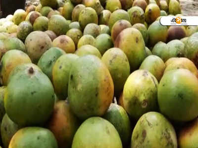 Summer Fruits: মহাদেবের প্রিয়, ডায়াবিটিস-সহ অন্যান্য রোগেও সঞ্জীবনীর মত কাজ করে বেল!