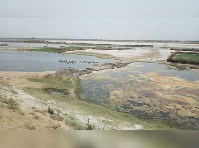 Prayagraj News: खनन माफिया पर सख्त कार्रवाई, नदी के बीच बनी अस्थाई सड़क पर चला बुलडोजर