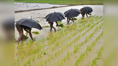 Monsoon impact on economy: इस साल भी झमाझम बरसेंगे बादल, इकॉनमी को मिलेगा तगड़ा डोज