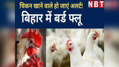 Bird Flu in Bihar : सुपौल में बर्ड फ्लू की एंट्री से हड़कंप, प्रशासन ने लिया ये बड़ा फैसला