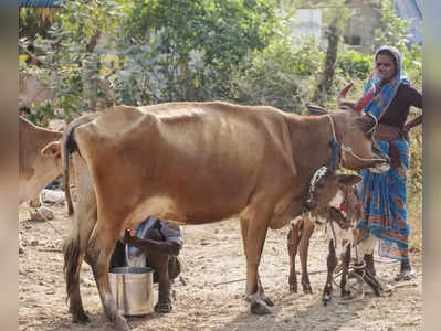 பால் விலை உயர்வு.. தமிழக அரசிடம் கோரிக்கை!