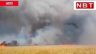 Ara Fire Wheat : गेहूं के खेत में लगी आग, कई एकड़ में लगी फसल राख, भोजपुर के किसानों की मेहनत तबाह