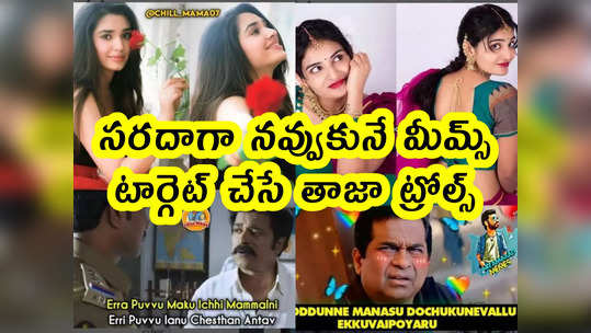 Memes: సరదాగా నవ్వుకునే మీమ్స్.. టార్గెట్ చేసే తాజా ట్రోల్స్ 