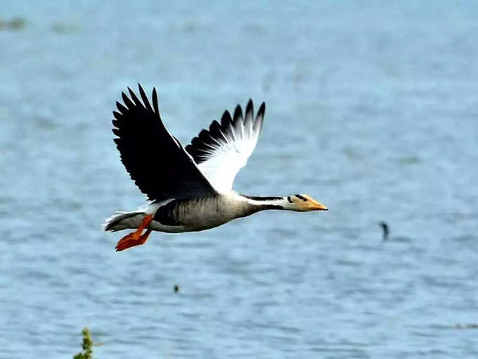 திருப்பூர் மாவட்ட வருவாய் அதிகரிக்கும்