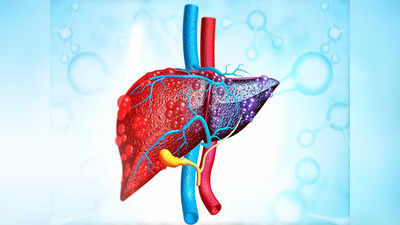 world liver day: అన్నం తింటే.. లివర్ దెబ్బతింటుందా..?