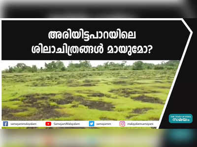 അരിയിട്ടപാറയിലെ ശിലാചിത്രങ്ങള്‍ മായുമോ? 