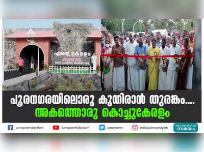 പൂരനഗരയിലൊരു കുതിരാന്‍ തുരങ്കം