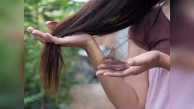 Hair Fall in Summer : केस गळतीवर आयुर्वेदिक उपाय; गर्मीतही राहतील सिल्की आणि शायनी केस