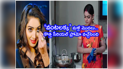 Vantalakka Serial: సీరియల్ పేరే ‘వంటలక్క’.. ప్రోమో మామూలుగా లేదక్కో.. మోనిత ఫుల్ కిక్కూ