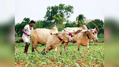 கடும் நெருக்கடியில் விவசாயிகள்.. வெளியான பகீர் ரிப்போர்ட்!