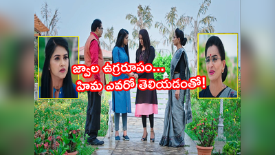 Karthika Deepam Serial ట్విస్ట్: ‘జ్వాలే మన సౌర్య నాన్నమ్మా..’పచ్చబొట్టుని సాక్ష్యంగా చూపించిన హిమ!