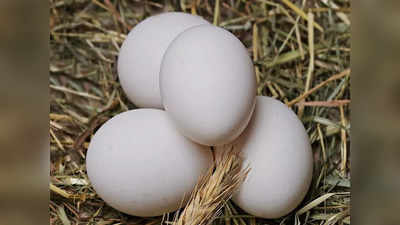 Egg bad combinations: గుడ్డుతో.. వీటిని కలిపి తింటే చాలా డేంజర్‌..!