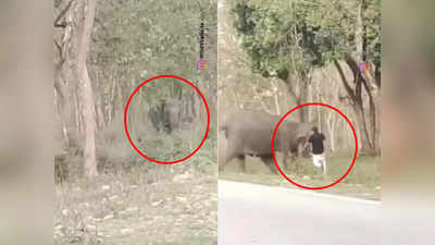 Video: भडकलेल्या हत्तीनं केला हल्ला, तेवढ्यात घसरला पाय, तरुणासोबत पुढे काय घडलं?