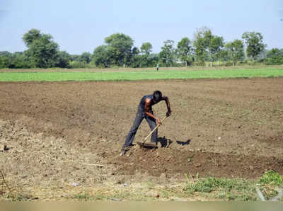 ખેડૂતોના પાકનું રક્ષણ કરવા ગુજરાત સરકારે શરૂ કરી Mukhyamantri Pak Sangrah Yojana 