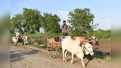 ખેડૂતોને મળશે રૂ.6,000ની વાર્ષિક સહાય, PM Kisan Sanmaan Nidhi અંતર્ગત મળશે આ લાભ