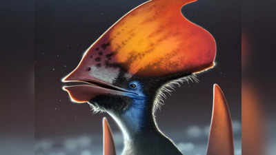 Pterosaur Feather: टेरोसॉर के शरीर पर होते थे पंख, 23 करोड़ साल पहले पृथ्वी पर राज करने वाले जीव को लेकर बड़ा खुलासा