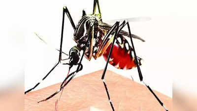 आता लक्ष मलेरिया, डेंग्यू हॉटस्पॉटवर