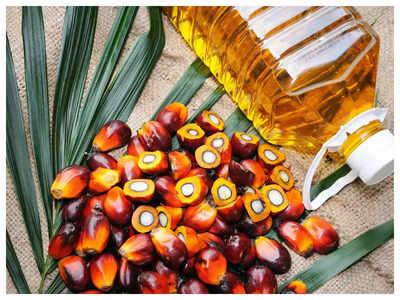 Palm Oil Ban: और महंगे होंगे खाने के तेल, इंडोनेशिया ने पाम ऑयल निर्यात पर लगाया बैन, जानिए क्यों हम इसके बिना नहीं रह सकते