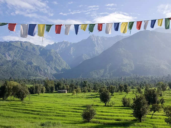 धर्मशाला कैसे पहुंचे - How to reach Dharamshala