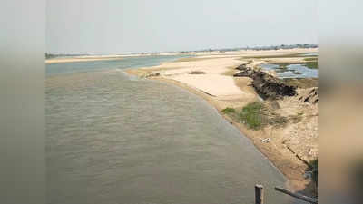 Burdwan News: আগামী দিনে নদীতে মাছই পাওয়া যাবে না! দামোদরের প্রসঙ্গ টেনে আশঙ্কার কথা শোনালেন অধ্যাপক