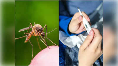 World Malaria Day 2022: কাঁপুনি দিয়ে তুমুল জ্বর? ম্যালেরিয়া হতে পারে বলে সর্তক করছেন চিকিৎসক