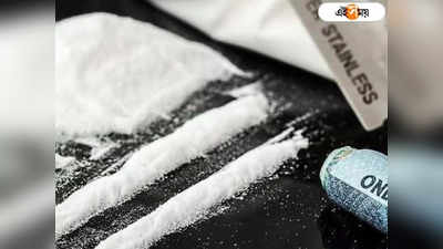 পাচারের আগেই উদ্ধার কয়েকশো কোটির Cocaine!