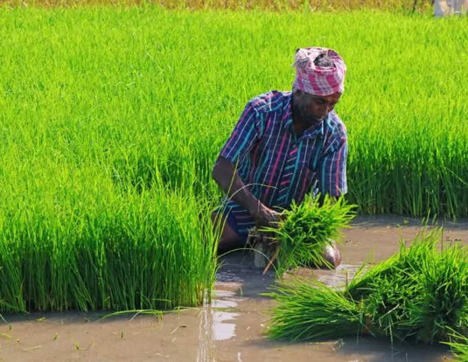 யாருக்கெல்லாம் கிடைக்கும்?