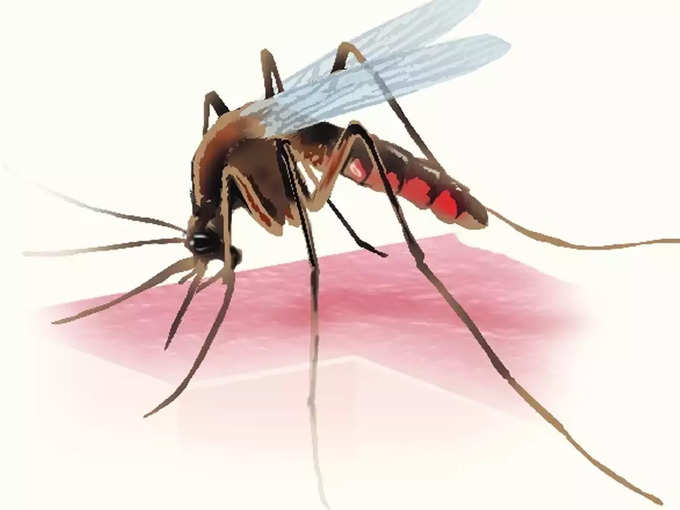 ​मलेरियाचा इतिहास