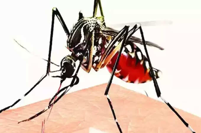​मलेरिया २०२२ ची थीम