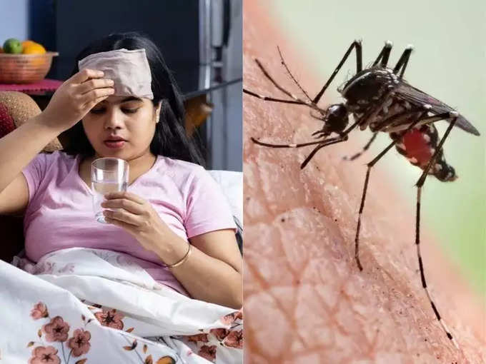 मलेरियाची लक्षणे