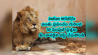 Indian Wildlife: జంతు ప్రపంచం గురించి 10 సింపుల్ ప్రశ్నలు.. మీ నాలెడ్జిని టెస్ట్ చేసుకోండి