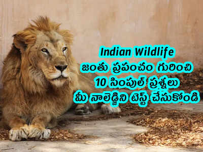 Indian Wildlife: జంతు ప్రపంచం గురించి 10 సింపుల్ ప్రశ్నలు.. మీ నాలెడ్జిని టెస్ట్ చేసుకోండి