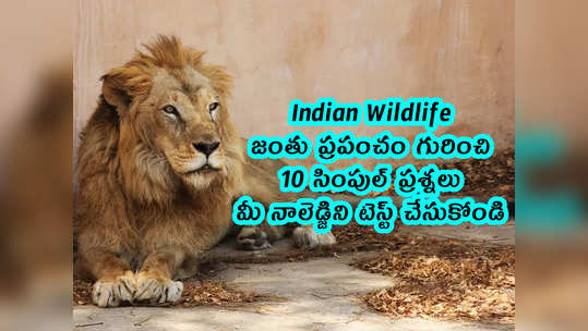 Indian Wildlife: జంతు ప్రపంచం గురించి 10 సింపుల్ ప్రశ్నలు.. మీ నాలెడ్జిని టెస్ట్ చేసుకోండి 