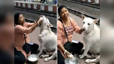 महिला ने आवारा कुत्ते को बच्चे की तरह खिलाया दही-चावल, वीडियो देख लोगों ने किया सैल्यूट!