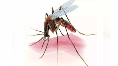 Malaria Vaccine :  మలేరియాకి వ్యాక్సిన్ వచ్చిందా.. ఎలా పనిచేస్తుంది..