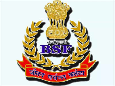BSF Recruitment: सीमा सुरक्षा दलात विविध पदांची भरती, मिळेल देशसेवा करण्याची संधी